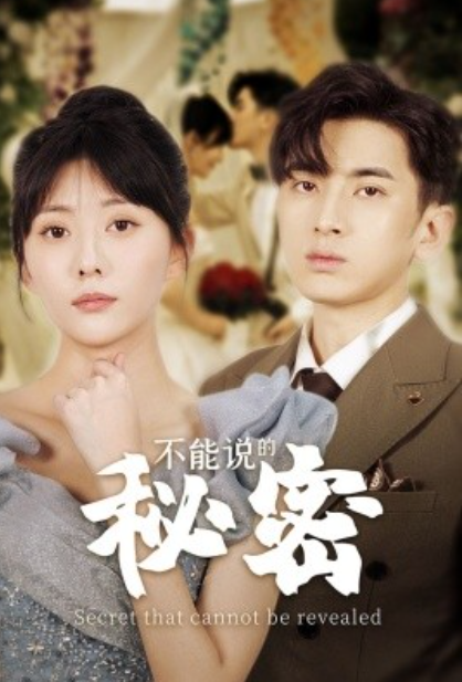 短剧《不能说的秘密（72集全）》免费观看-第1张图片-力界网