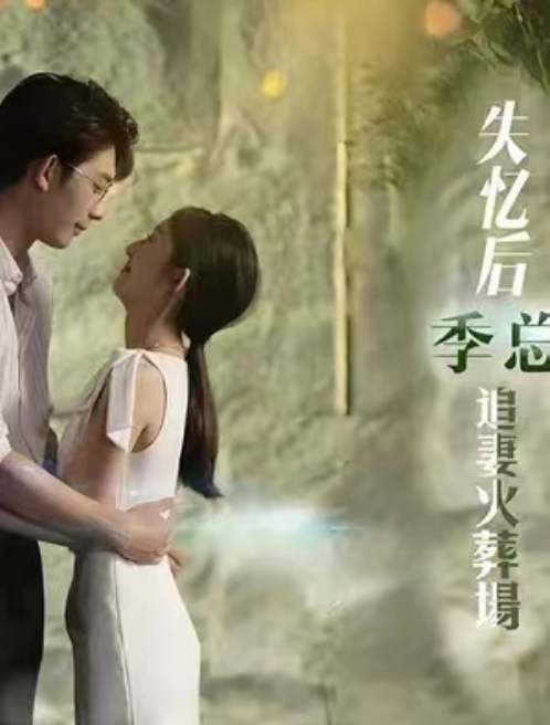 短剧《失忆后 季总追妻火葬场（100集全）》免费观看-第1张图片-力界网