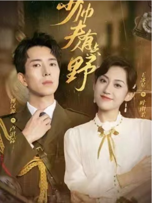 短剧《少帅夫人有点野（错嫁娇妻少帅请自重）90集全》免费观看-第1张图片-力界网