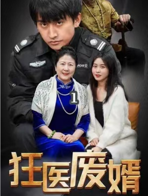 短剧《狂医废婿（80集全）》免费观看-第1张图片-力界网