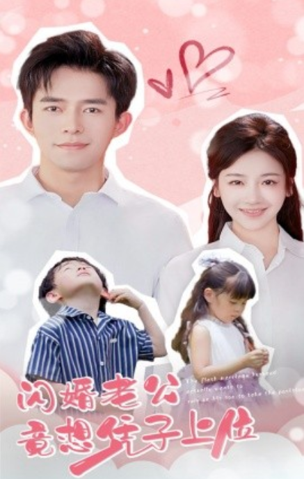 短剧《闪婚老公竟想凭子上位（31集全）》免费观看-第1张图片-力界网