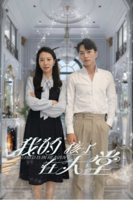 短剧《我的孩子在天堂（无法赎罪的爱）30集全》免费观看-第1张图片-力界网