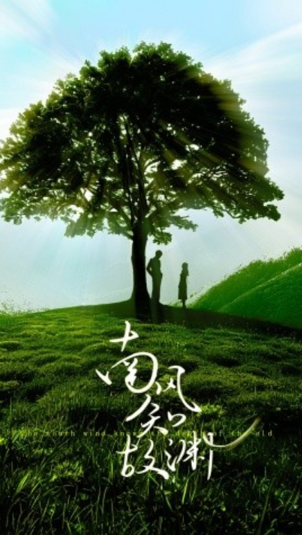 短剧《皎皎南风星（南风知故渊）80集全》免费观看-第1张图片-力界网