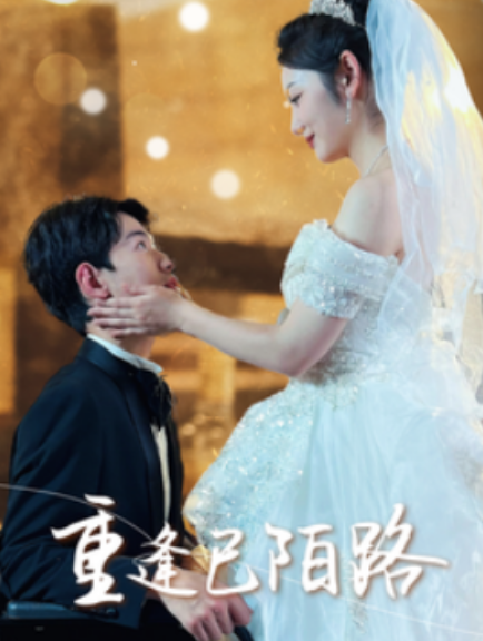 短剧《重逢已陌路（80集全）》免费观看-第1张图片-力界网
