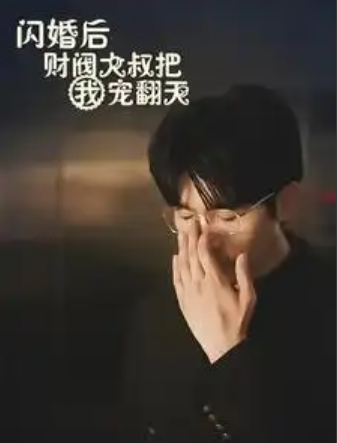 短剧《闪婚后财阀大叔把我宠翻天（100集全）陈云汐&张北淅》免费观看-第1张图片-力界网