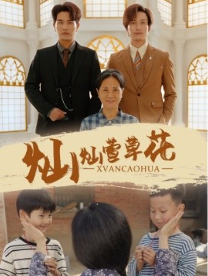 短剧《灿灿萱草花（72集全）》免费观看-第1张图片-力界网