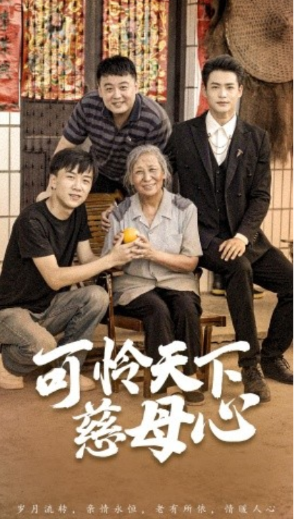 短剧《可怜天下慈母心（母望子归）74集全》免费观看-第1张图片-力界网