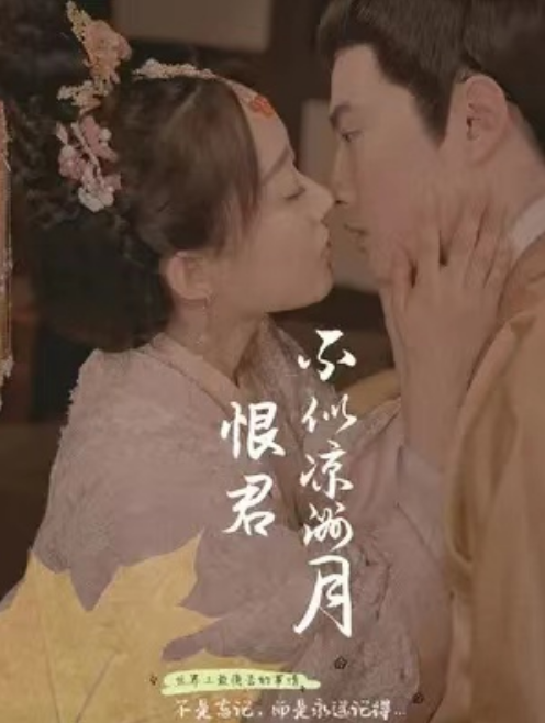 短剧《恨君不似凉州月（94集全）》免费观看-第1张图片-力界网