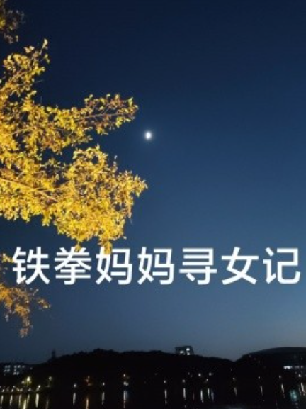 短剧《铁拳妈妈寻女记（69集全）》免费观看-第1张图片-力界网