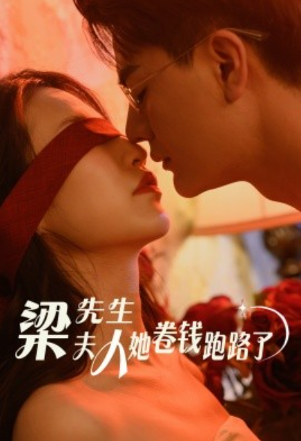 短剧《梁先生夫人她卷钱跑路了（60集全）》免费观看-第1张图片-力界网