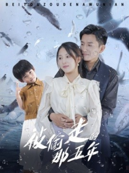 短剧《被偷走的那五年（70集全）》免费观看-第1张图片-力界网