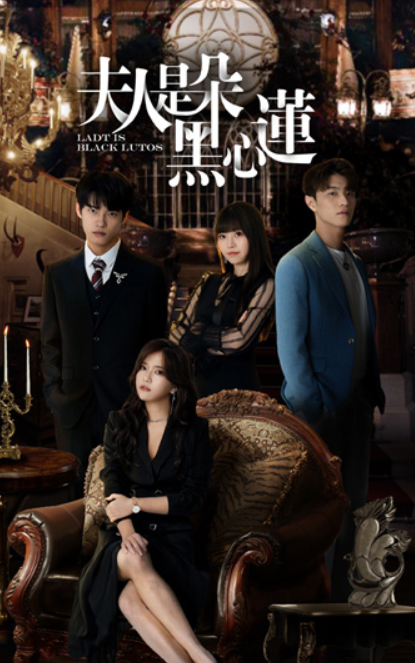 短剧《夫人是朵黑心莲（50集全）》免费观看-第1张图片-力界网