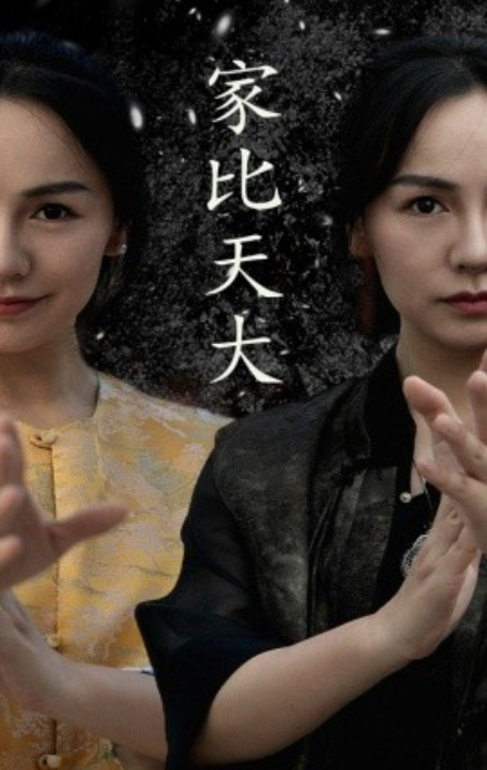 短剧《家比天大（63集全）》免费观看-第1张图片-力界网