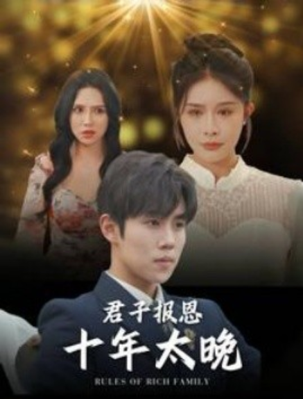 短剧《君子报恩十年太晚（79集全）》免费观看-第1张图片-力界网