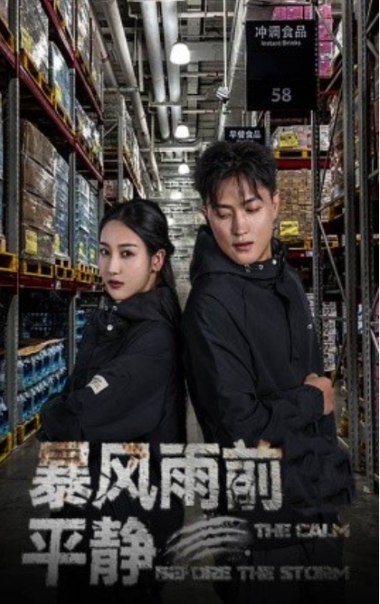 短剧《暴风雨前的平静（30集全）》免费观看-第1张图片-力界网