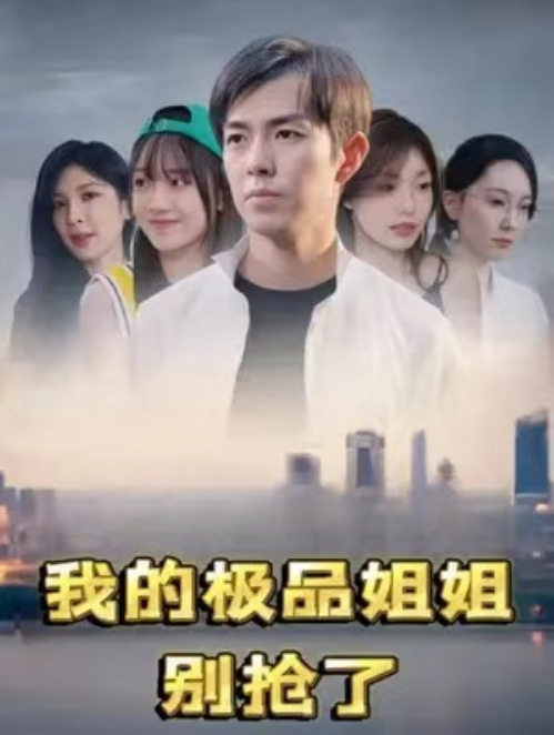 短剧《我的极品姐姐別抢了（96集全）》免费观看-第1张图片-力界网