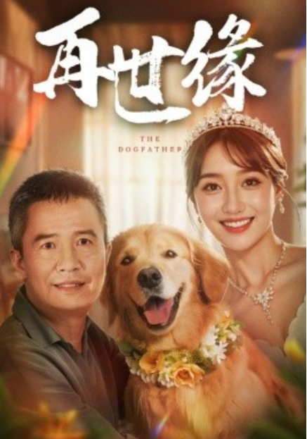 短剧《再世缘（41集全）》免费观看-第1张图片-力界网