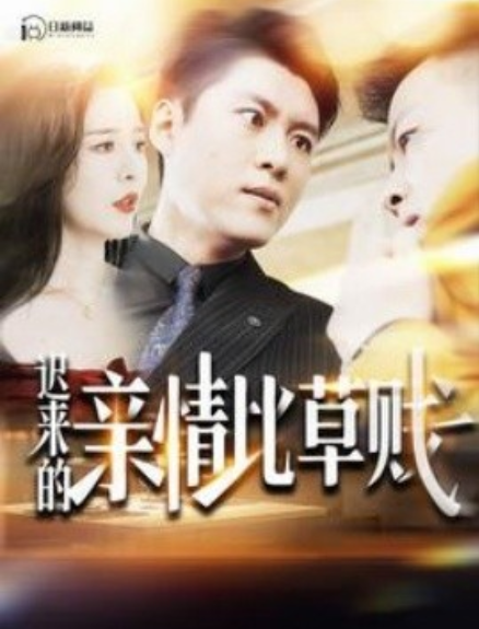 短剧《迟来的亲情比草贱（100集全）》免费观看-第1张图片-力界网