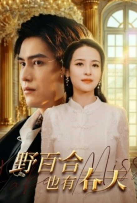短剧《野百合也有春天（85集全）》免费观看-第1张图片-力界网