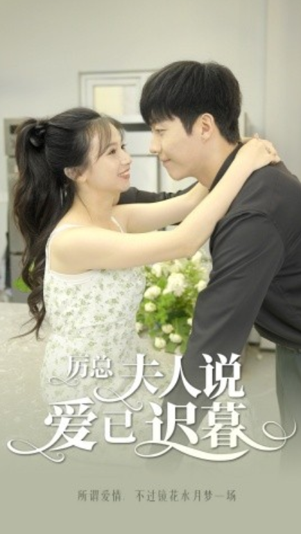 短剧《厉总夫人说爱已迟暮（100集全）》免费观看-第1张图片-力界网