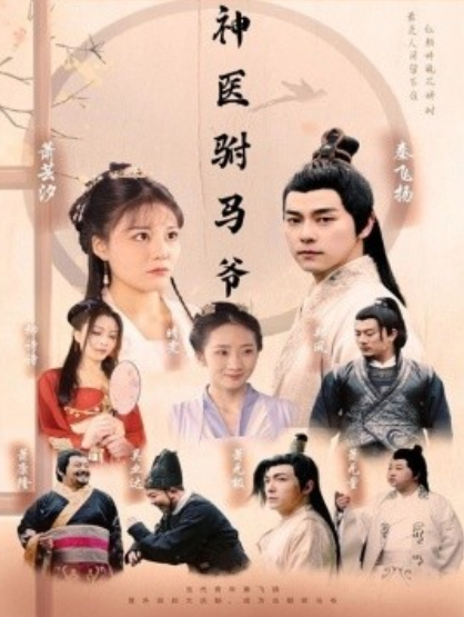 短剧《神医驸马爷（80集全）》免费观看-第1张图片-力界网