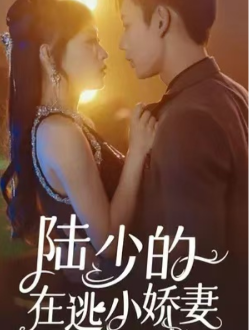 短剧《陆少的在逃小娇妻（71集全）》免费观看-第1张图片-力界网