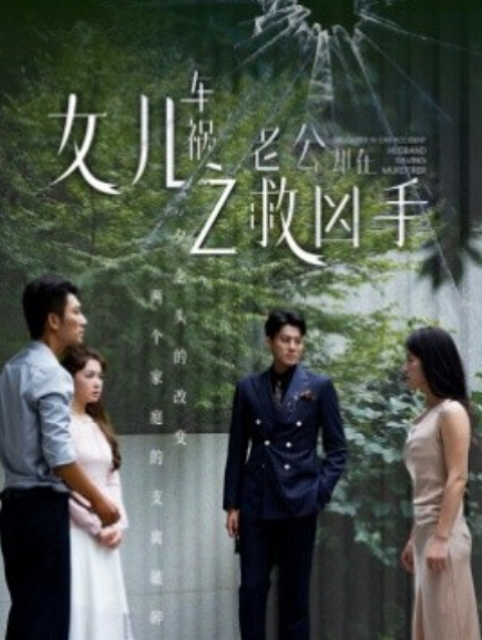 短剧《女儿车祸之老公却在救凶手（40集全）》免费观看-第1张图片-力界网