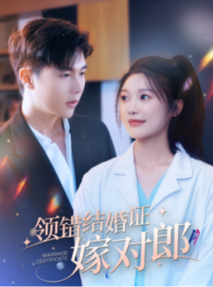 短剧《领错结婚证嫁对郎（100集全）》免费观看-第1张图片-力界网
