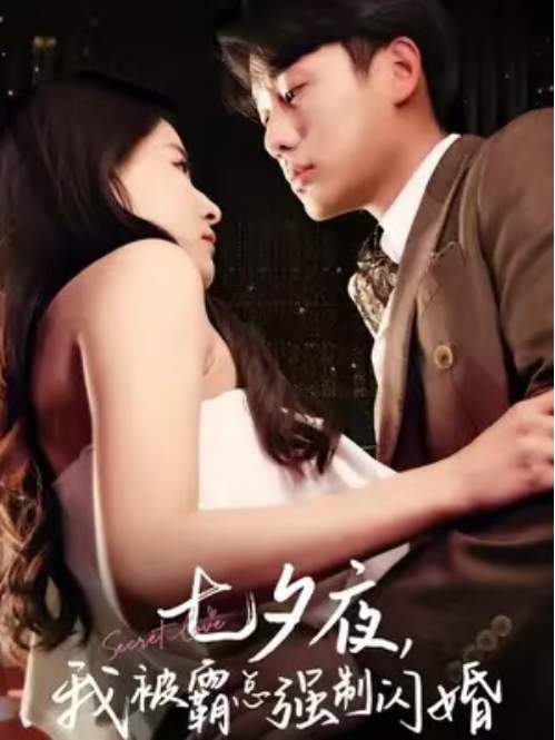 短剧《七夕夜，我被霸总强制闪婚（77集全）》免费观看-第1张图片-力界网