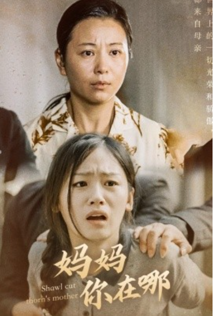 短剧《妈妈你在哪（春风不改旧时波）70集全》免费观看-第1张图片-力界网