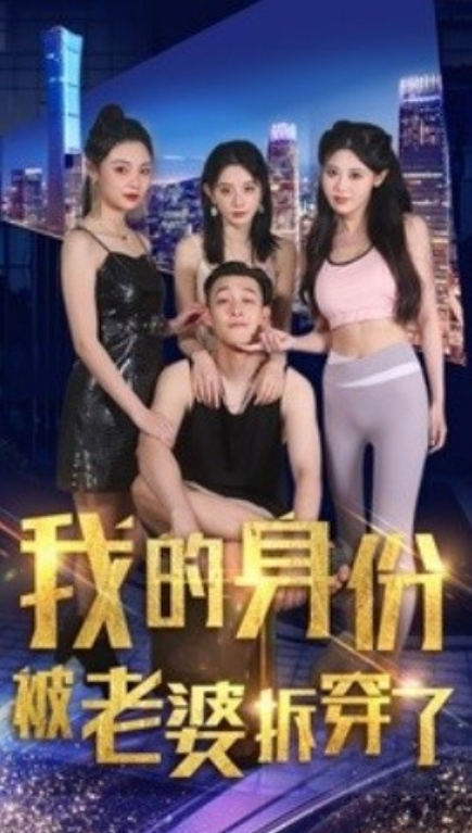 短剧《我的身份被老婆拆穿了（77集全）》免费观看-第1张图片-力界网