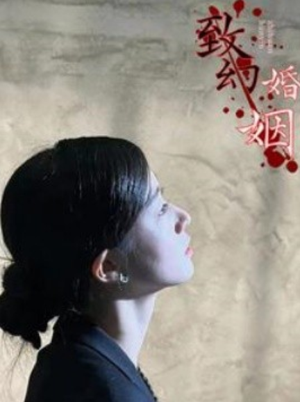 短剧《致幻婚姻（100集全）》免费观看-第1张图片-力界网