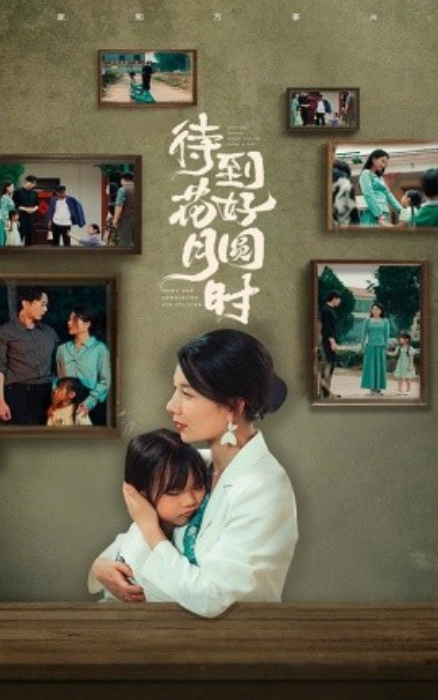 短剧《待到花好月圆时（30集全）》免费观看-第1张图片-力界网