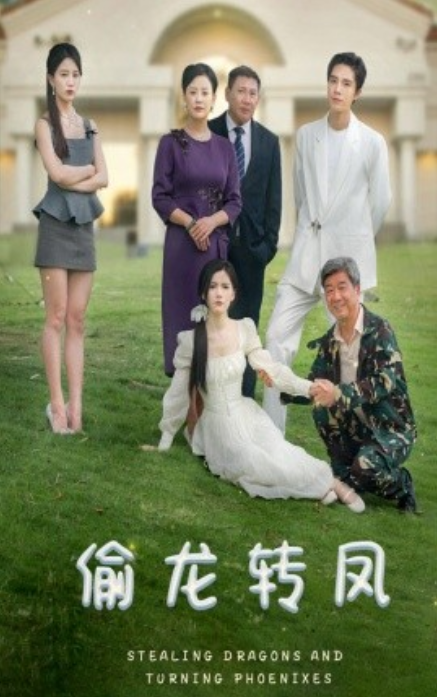 短剧《偷龙转凤（80集全）》免费观看-第1张图片-力界网