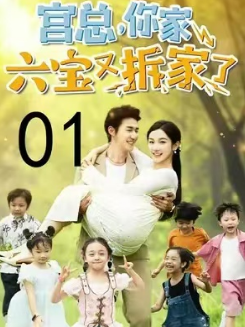 短剧《宫总，你家六宝又拆家了（96集全）》免费观看-第1张图片-力界网