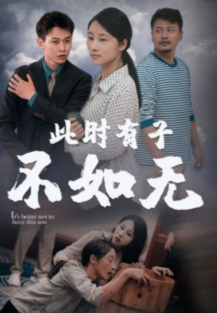 短剧《此时有子不如无（96集全）丁磊》免费观看-第1张图片-力界网