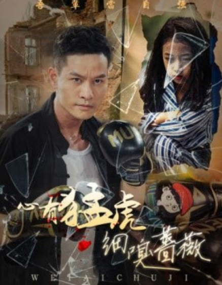 短剧《心有猛虎细嗅蔷薇（65集全）》免费观看-第1张图片-力界网