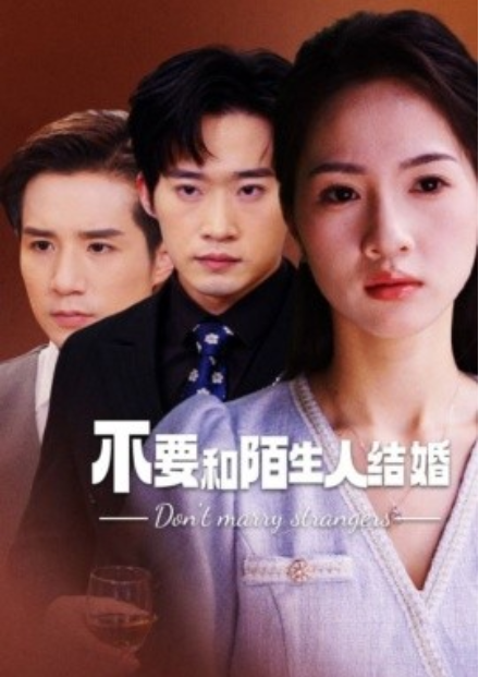 短剧《不要和陌生人结婚（90集全）》免费观看-第1张图片-力界网