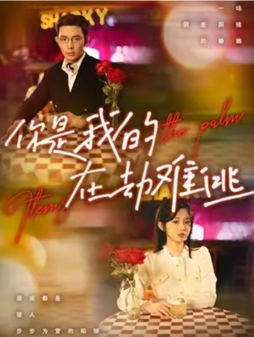 短剧《你是我的在劫难逃（83集全）》免费观看-第1张图片-力界网