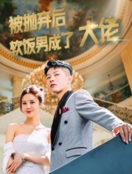 短剧《被抛弃后软饭男成了大佬（100集全）》免费观看-第1张图片-力界网