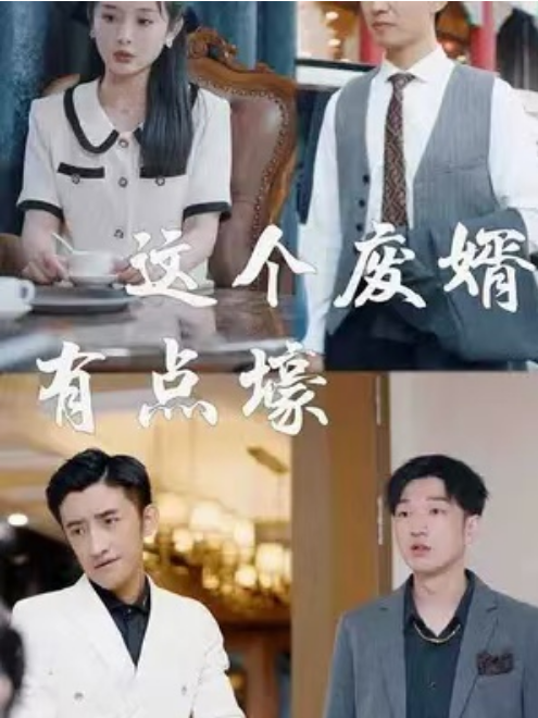 短剧《这个废婿有点壕（89集全）》免费观看-第1张图片-力界网