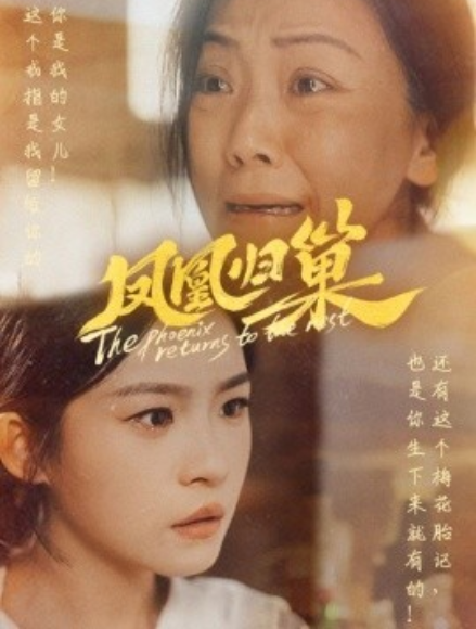 短剧《凤凰归巢（69集全）》免费观看-第1张图片-力界网