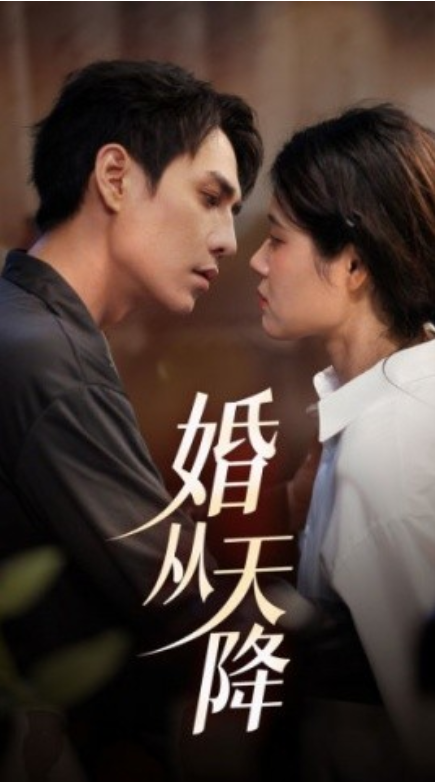 短剧《婚从天降（92集全）》免费观看-第1张图片-力界网