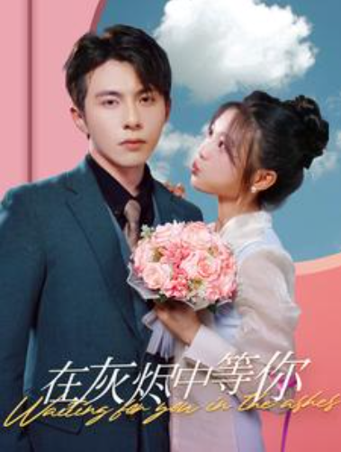 短剧《在灰烬中等你（99集全）》免费观看-第1张图片-力界网