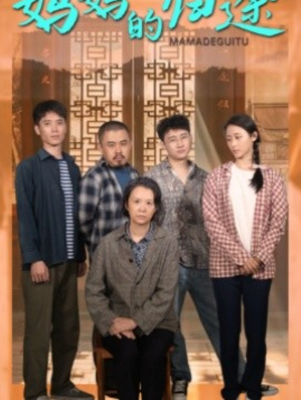 短剧《妈妈的归途（66集全）》免费观看-第1张图片-力界网