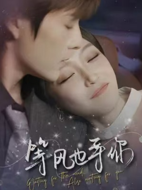 短剧《等风也等你（80集全）》免费观看-第1张图片-力界网
