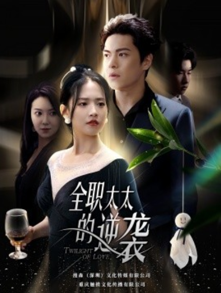 短剧《全职太太的逆袭（80集全）》免费观看-第1张图片-力界网