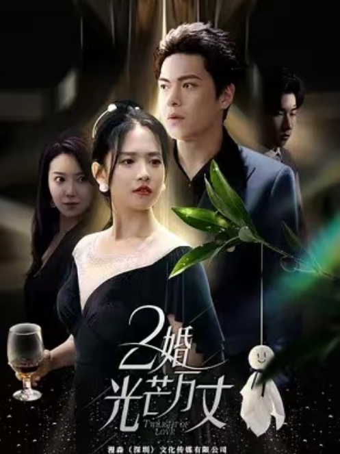 短剧《2婚光芒万丈（80集全）》免费观看-第1张图片-力界网