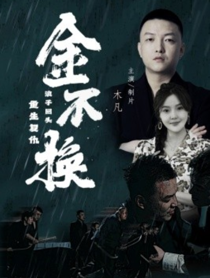 短剧《金不换（32集全）》免费观看-第1张图片-力界网