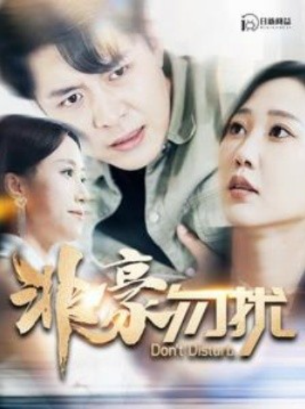 短剧《非豪勿扰（100集全）》免费观看-第1张图片-力界网